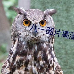 尊龙凯时-人生就是搏!