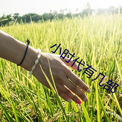 小时代有几部 （来往）