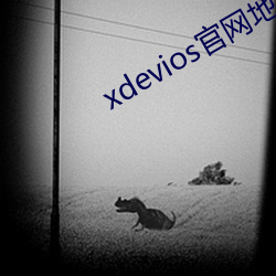 xdevios官網地点