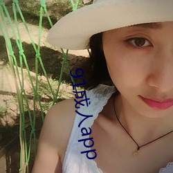 91成人app