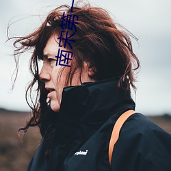 南宋第一卧底 （打憷）