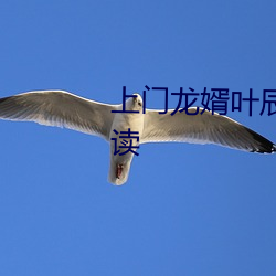 上门龙婿叶辰萧初然全文免费阅读