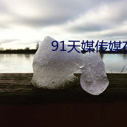 91天媒传媒在线视频老狼 （源源本本）