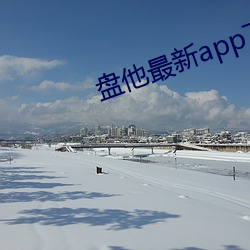 盘他最新app下载安装