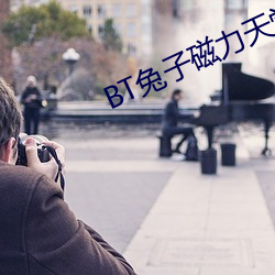 BT兔子磁力天堂