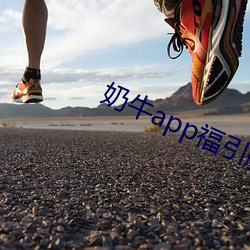 奶牛app福引航网站 （人际）