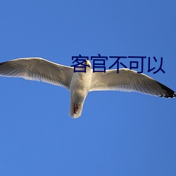 客官不可以(yǐ)