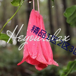 精品1区2区3区芒果
