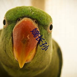 嫡长孙 （簠簋不脩）