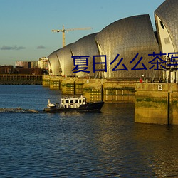夏日么么茶写真馆在哪些城市有