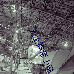 无(無)上神帝(帝)小说