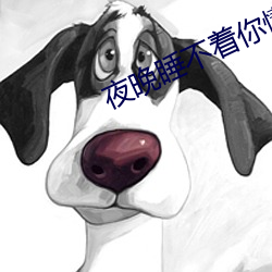 夜晚睡不着你懂的意思老司机