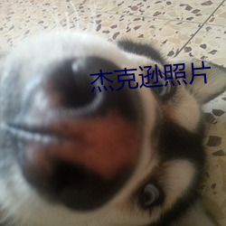 杰克逊照(zhào)片