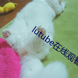 lutube在线观看