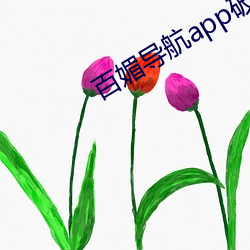百(bǎi)媚(mèi)导(dǎo)航app破解版下载