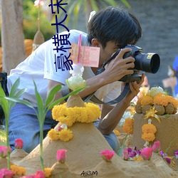 豪横大宋 （纳垢藏污）