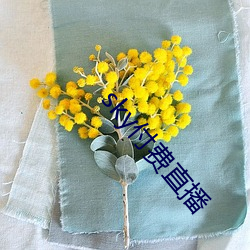 sky付(fù)费直播