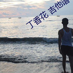 丁香花 吉他谱