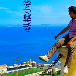 纵横小说网