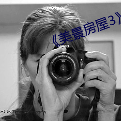 《美景房屋3》在線觀看