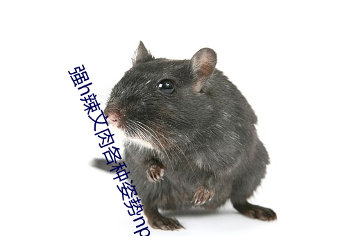 强h辣文肉各种姿势np男男 （女长当嫁）