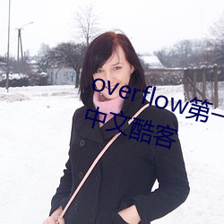 overflow第一季未(未)增删(刪)带翻(翻)译樱花中文酷(酷)客(客)