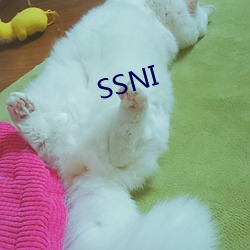 SSNI