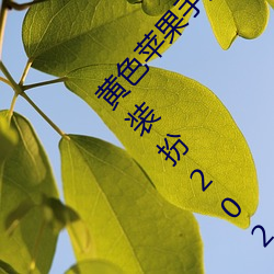 黄色苹果手版软件app下载3.0.3免费oppo版大全装扮2023
