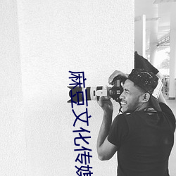 麻豆文化传媒(méi)剪(jiǎn)映免费网站