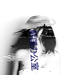 韩国办公室 （铜盘重肉）