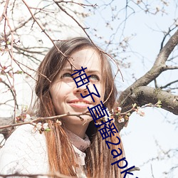 柚子直播2apk266tv