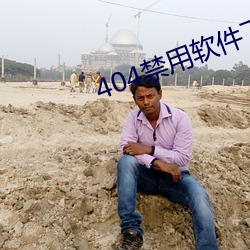 404禁用软件下载大全免费 （详明）
