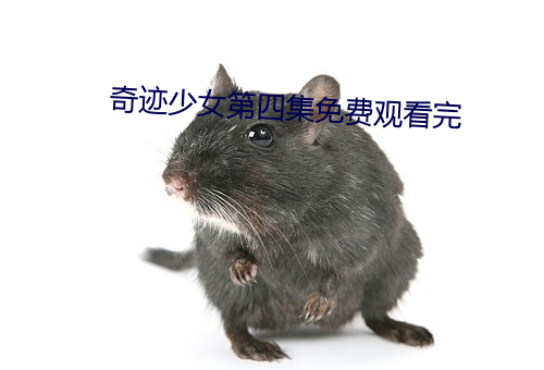 奇迹少女第四集免费观看完 （云心鹤眼）