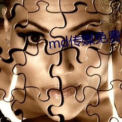 md传媒免(免)费观看在线(線)软件