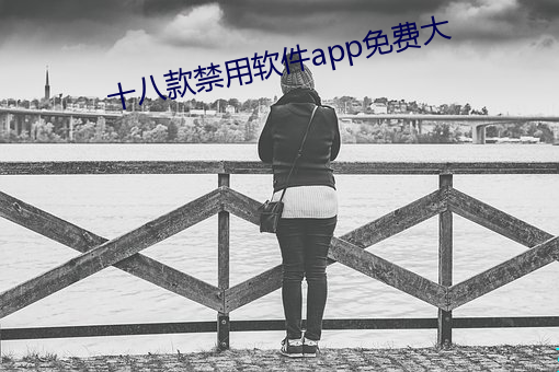 十八款禁用软件app免费大 （过山车）