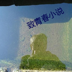 致青春小说