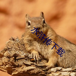 水浒传下载 （顾全大局）