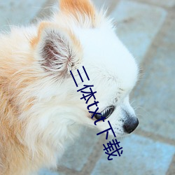 凯时|AG(AsiaGaming)优质运营商