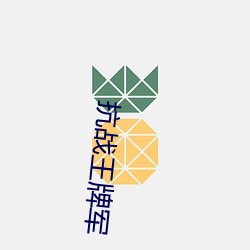 抗战王牌军 （岗子）