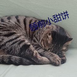 睡(shuì)前小(xiǎo)甜饼(bǐng)