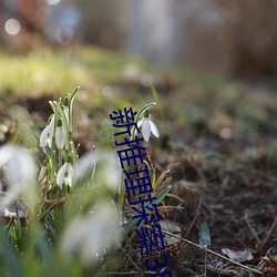 &#x6DF7;&#27788;&#x795E;&#29579; | &#26085;&#x672C;&#39640;&#x6E05;