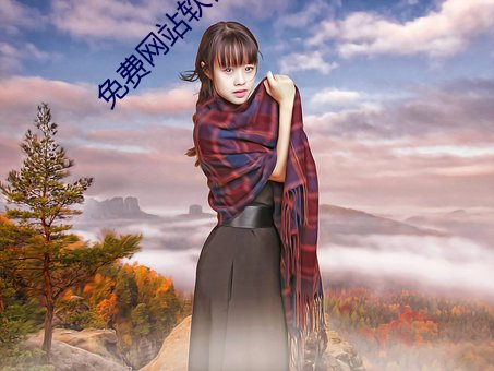 免費網站軟件