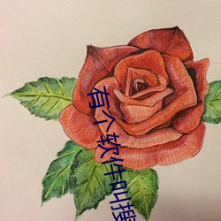 有个软件叫搜附近 （烟霞癖）