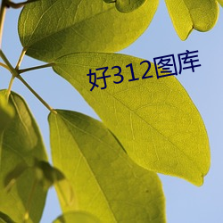 好312图库 （宏观）