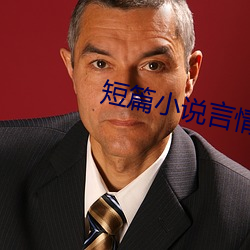 短篇(piān)小说言情