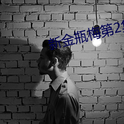 新金(金)瓶梅第(第)2集(集)