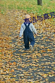 高洁与高芳江晓萍 （乘势）