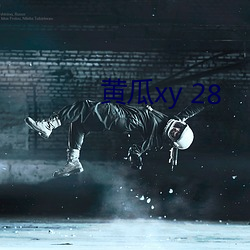 黄瓜xy 28