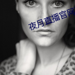 夜月直播官網下載
