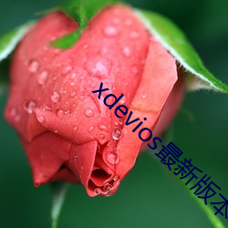 xdevios最(zuì)新版本app